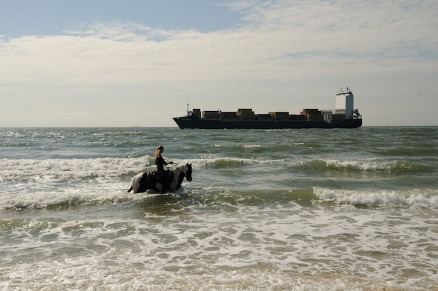 Guesthouse Ride by the Sea op 800 meter van het Walcherse strand van Dishoek VMP060